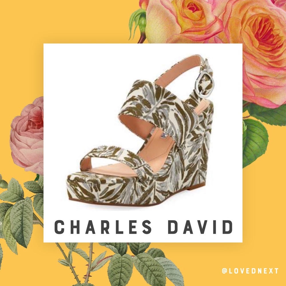 NWT Charles David ‘Jordan’ Sandal Wedges | Size 11